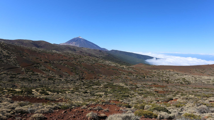 blick vom Montaña Limón über den Teide Nationalpark