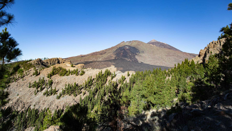 Blick über den Montaña el Cedro zum Pico Viejo