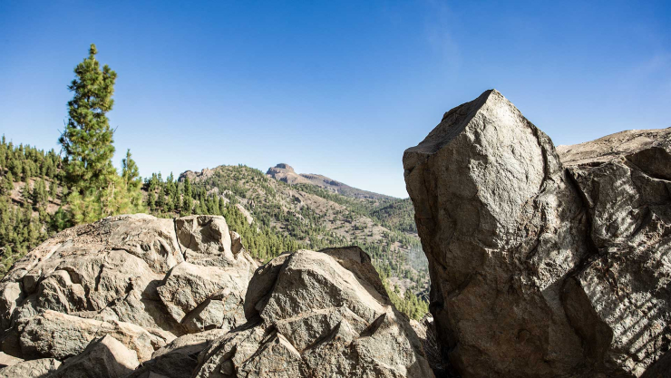 Rundwanderung Montaña el Cedro - Barranco Tágara