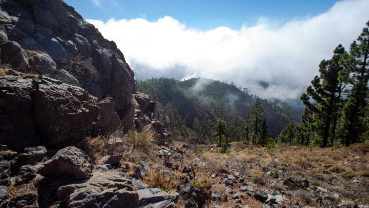 Berg- und Schluchtenlandschaft der Corona Forestal